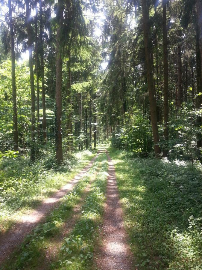 Herberge Markdorf Exteriör bild
